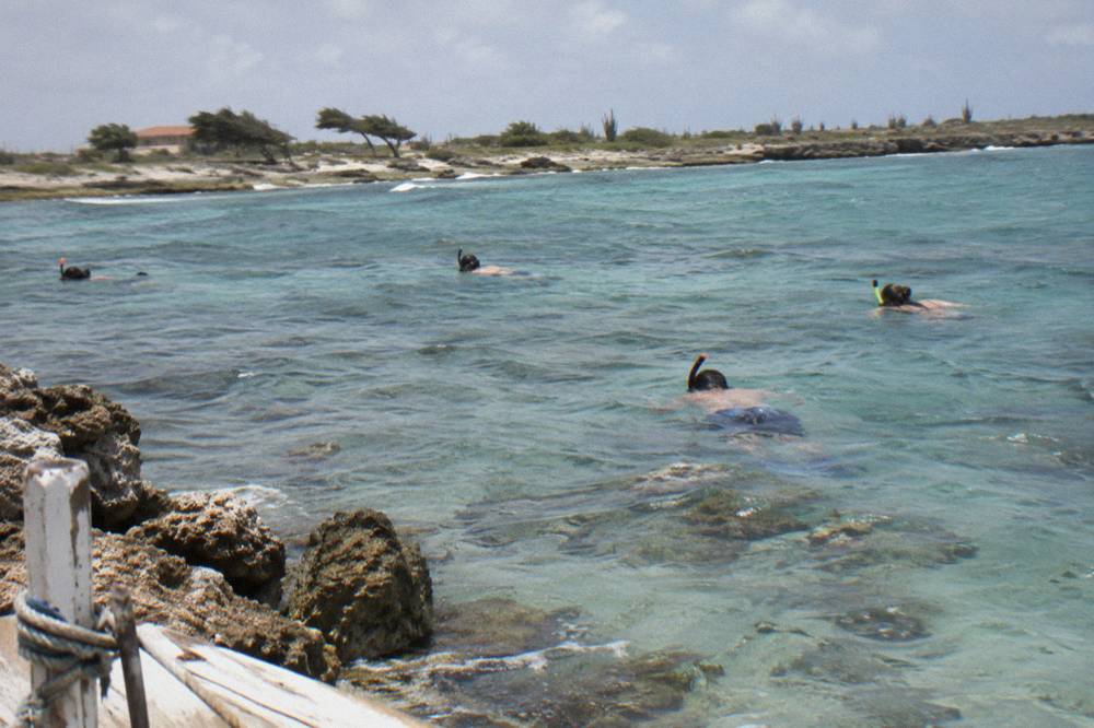 Snorkelers floating above a reef in calm turquoise water