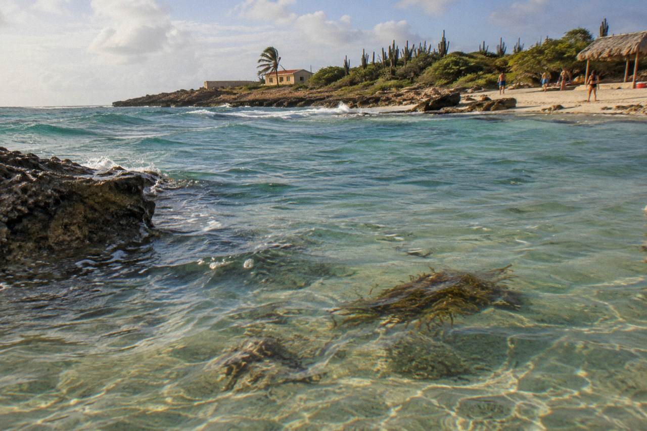 Calm turquoise water over a shallow reef close to an Aruba beach