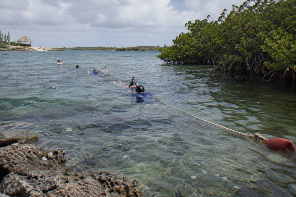 A small group of snorkelers holding a floating line above a coral reef