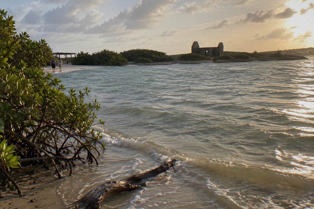 A shallow sandy bay with gentle waves and a fringe of mangroves at the shoreline