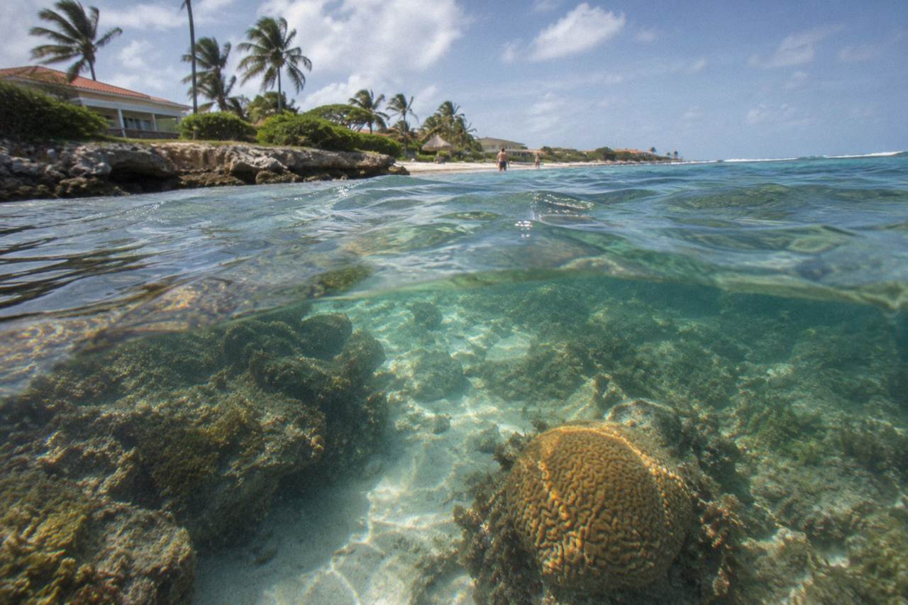 Calm turquoise water over a shallow coral reef with sunlight reaching the sand