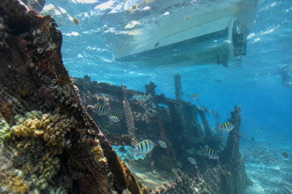 Glass bottom boat drifting over a coral reef with fish visible below the hull