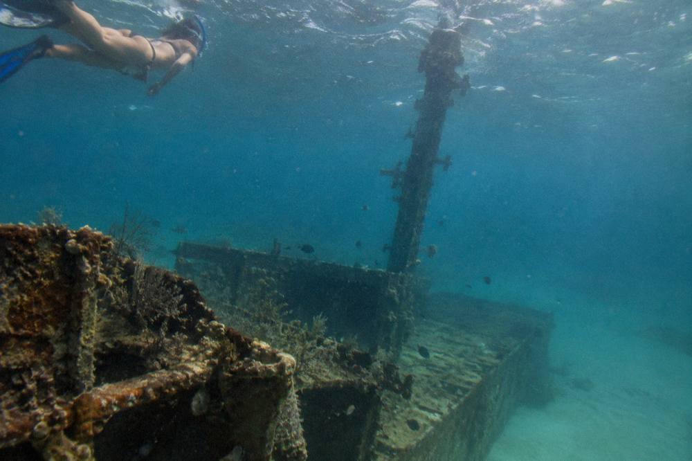 A snorkeler swimming over a sunken ship hull in clear blue water