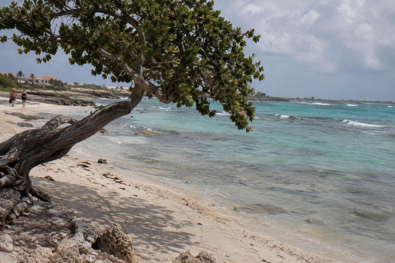 Calm turquoise water over a shallow reef near the Aruban coast