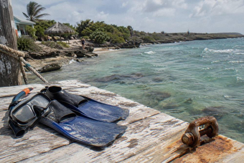 A pair of snorkel fins and a mask resting on a wooden dock beside clear shallow water