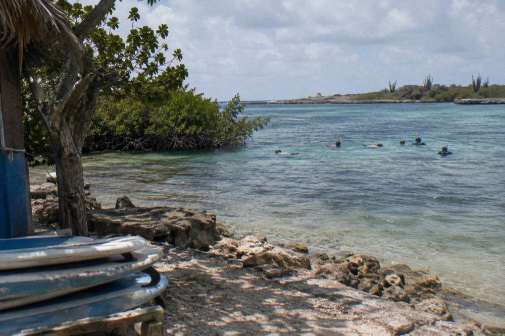 A guided small group floating with snorkels over a shallow reef in calm water
