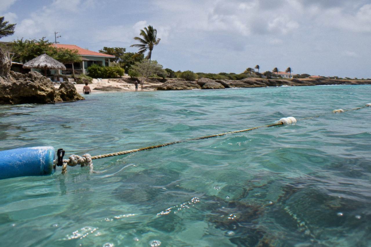 A rope line floating on calm turquoise water above a shallow reef