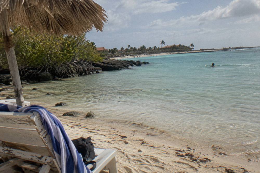 Shallow lagoon with mangroves at the edge and clear water over sand