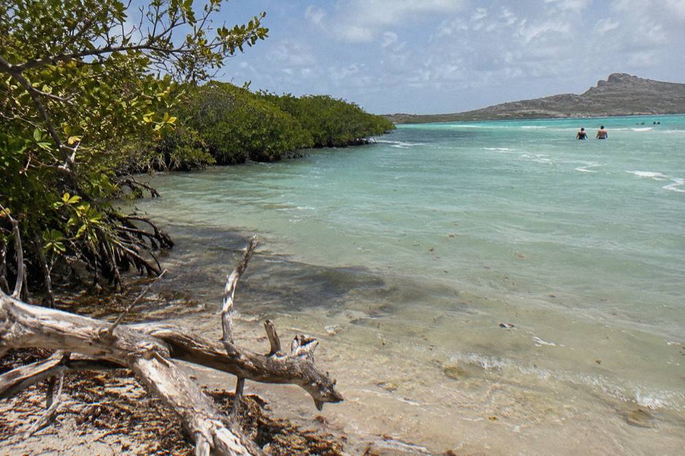 A shallow turquoise lagoon with a sandy beach and mangroves along the shore