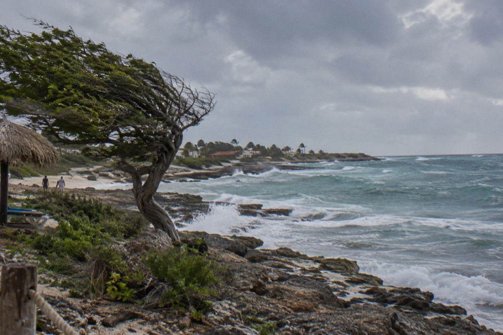 Wind-swept waves breaking on the rocky north coast of a Caribbean island