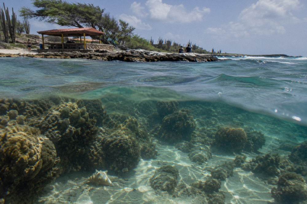 Sunlight beams shining through blue water onto a coral reef formation
