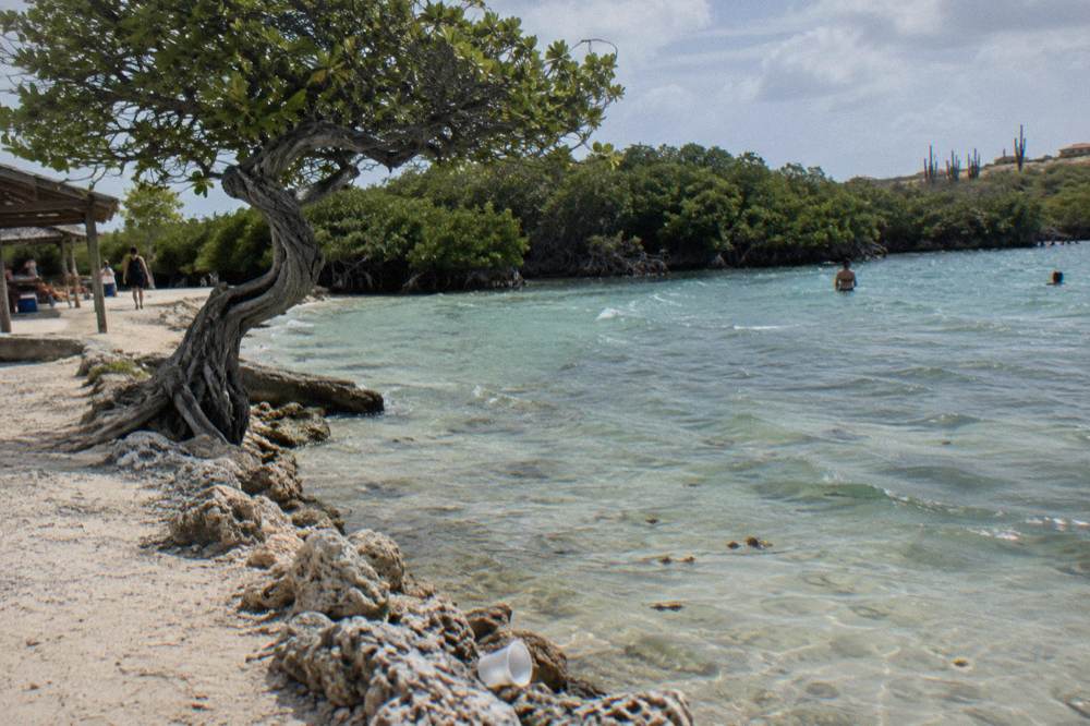 A quiet sandy bay with clear shallow water and mangrove fringe along the shoreline