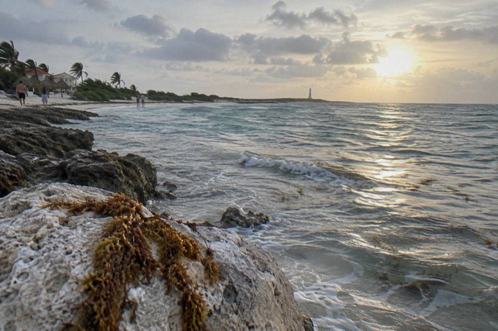 Sunlight over calm morning water with gentle ripples across a reef flat