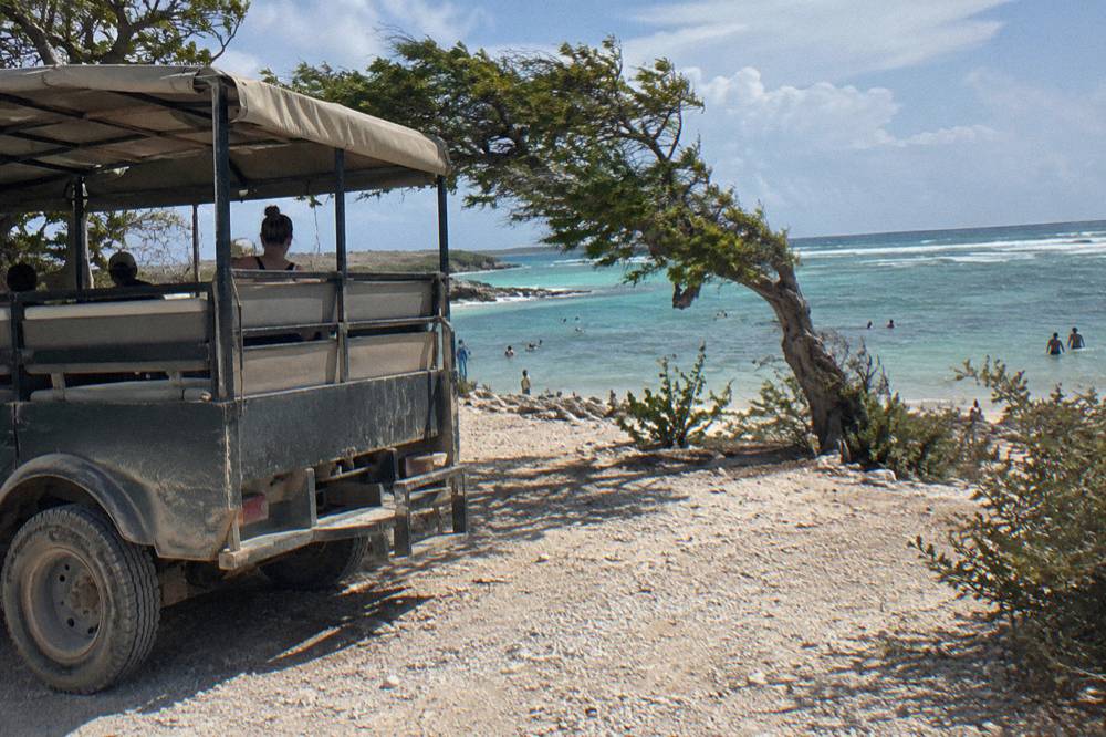 Open air bus parked near a beach road with palm trees and turquoise water beyond