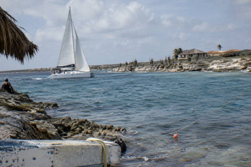 Catamaran under sail on flat calm blue water near the coast