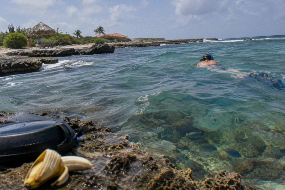 Snorkeler floating above a coral reef with colorful fish nearby