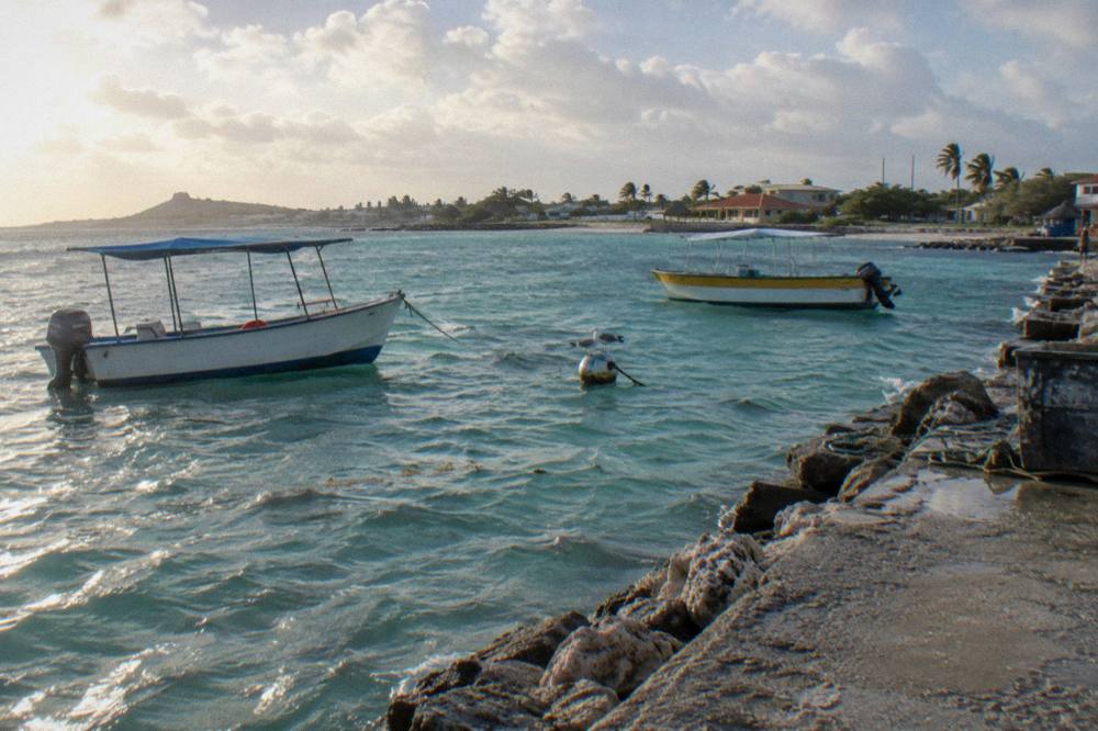 Anchored snorkel boats in a quiet bay at first light