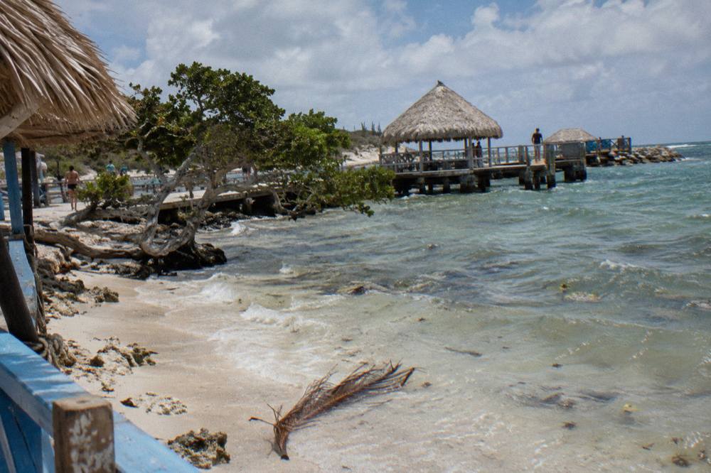 Shallow reef water beside a Caribbean island beach with mangrove shrubs