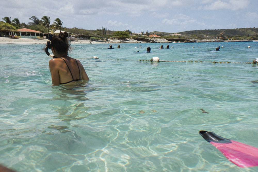 Family snorkelers in calm water near a Caribbean beach
