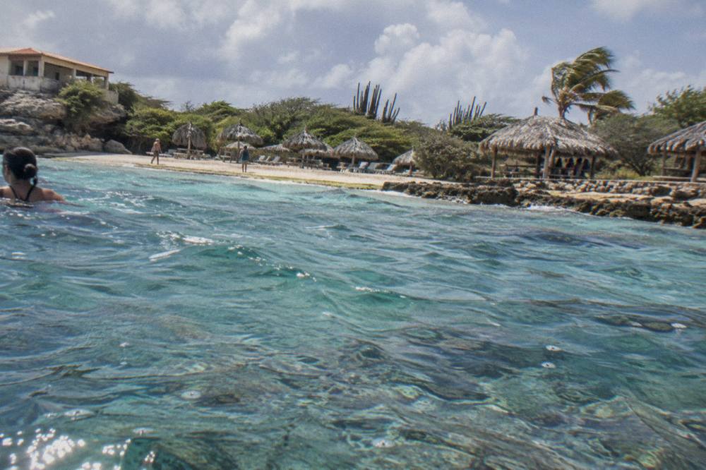 Shallow clear water over a coral reef a short swim from an Aruba beach