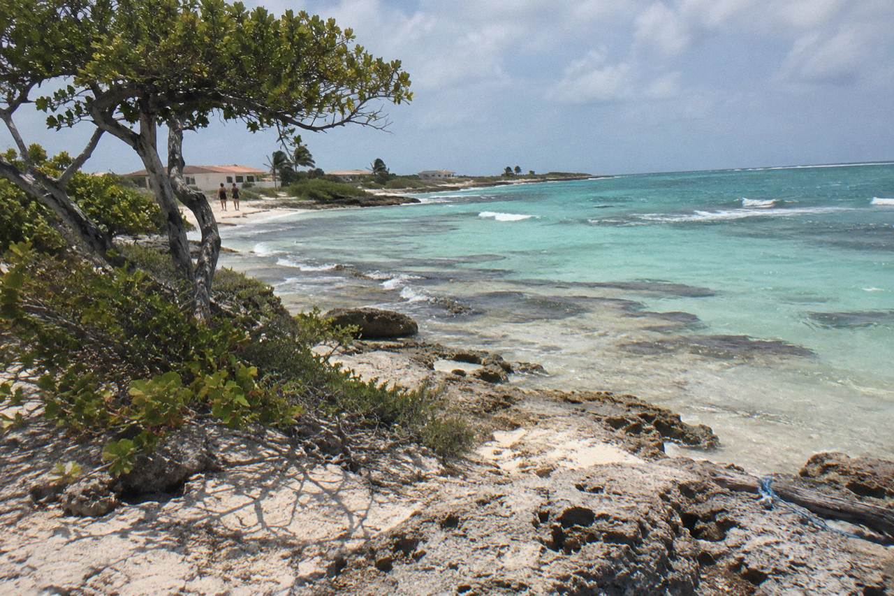 Calm turquoise water over a shallow reef near a sandy Aruba beach