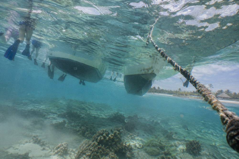 A catamaran with guests aboard moored over pale blue shallow reef water