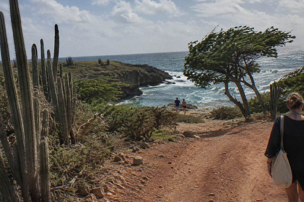 Hikers with small backpacks walking a dry rocky path through cactus and scrubland