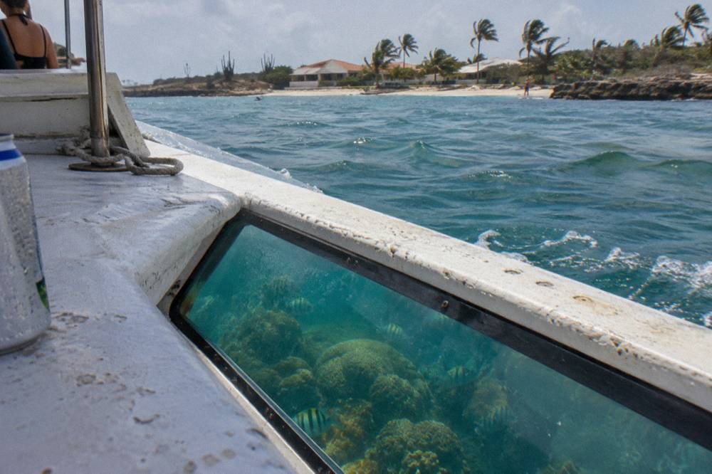 A glass panel in a boat hull revealing coral and fish below the surface