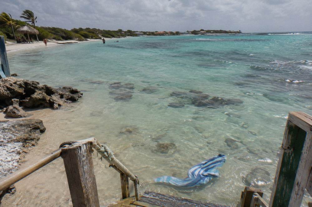 A calm bay with gentle waves and reef fish visible near the surface