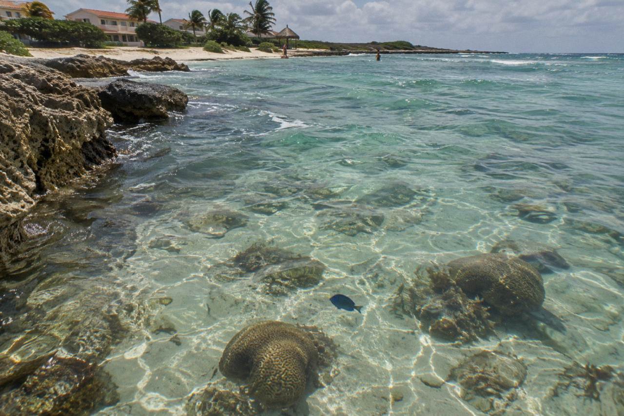 Calm turquoise water over a shallow coral reef with scattered brain coral formations