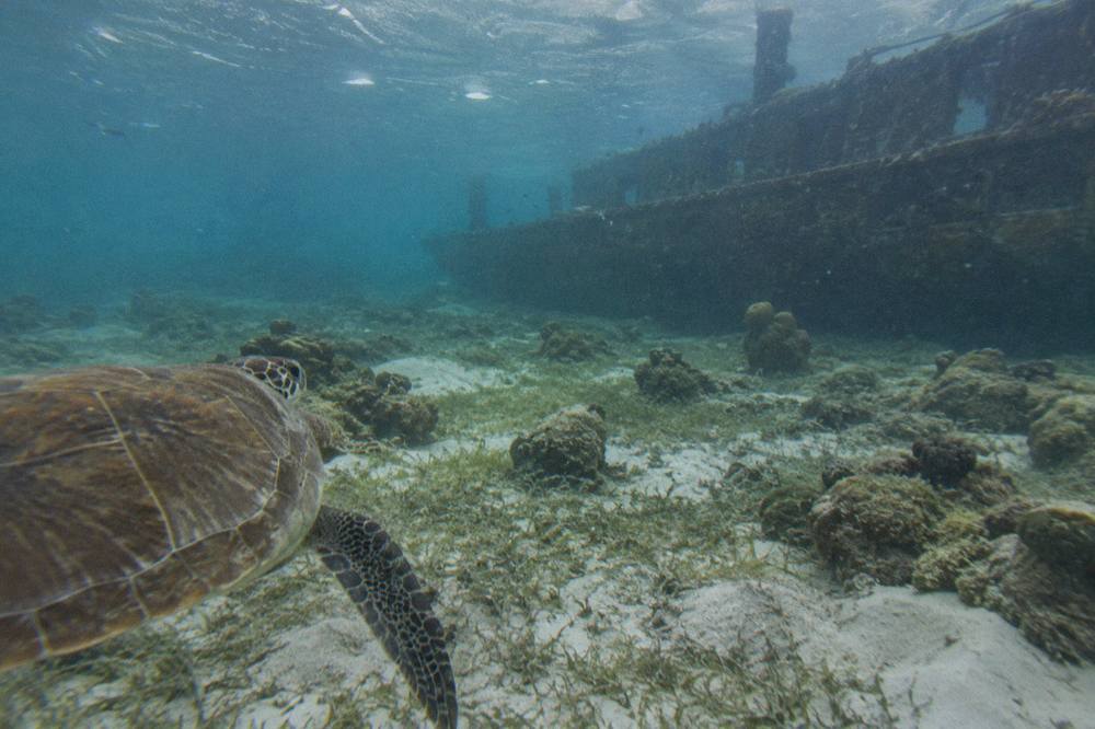 A white private boat drifting over a shallow reef with turtle grass and scattered coral heads below