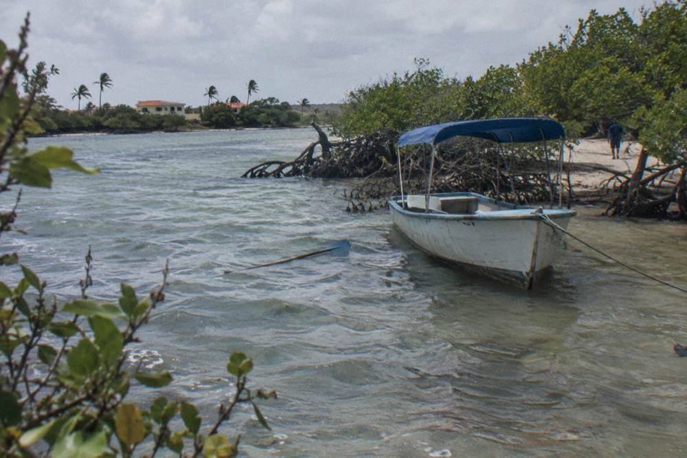 A covered small boat moored in clear shallow water near a sandy beach with mangroves at the shore
