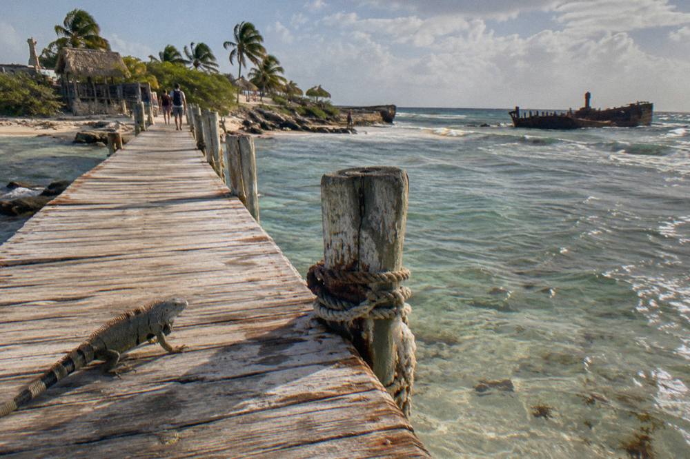 A wooden pier extending into clear shallow water with gentle waves
