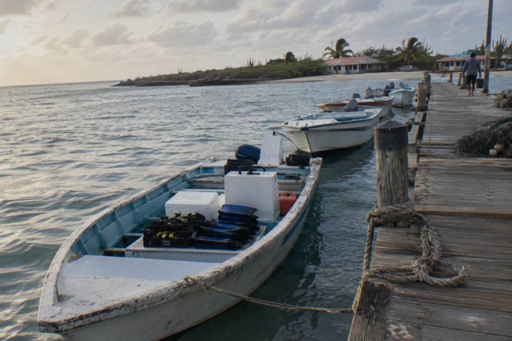 Snorkel boats tied along a wooden pier on calm morning water