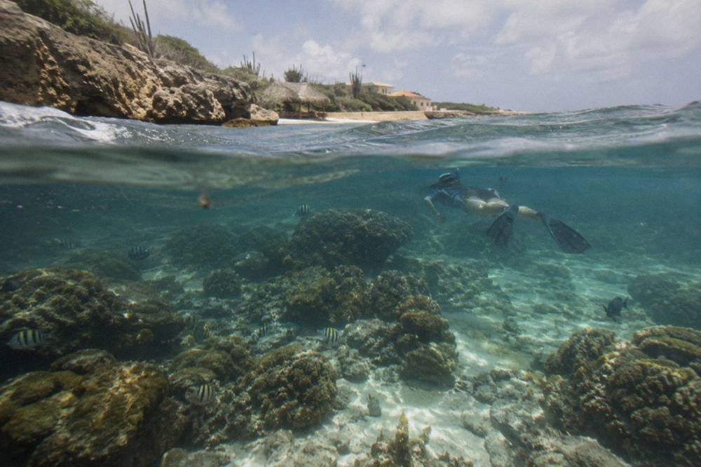 Snorkeler floating over a shallow reef with small tropical fish near a sandy shore