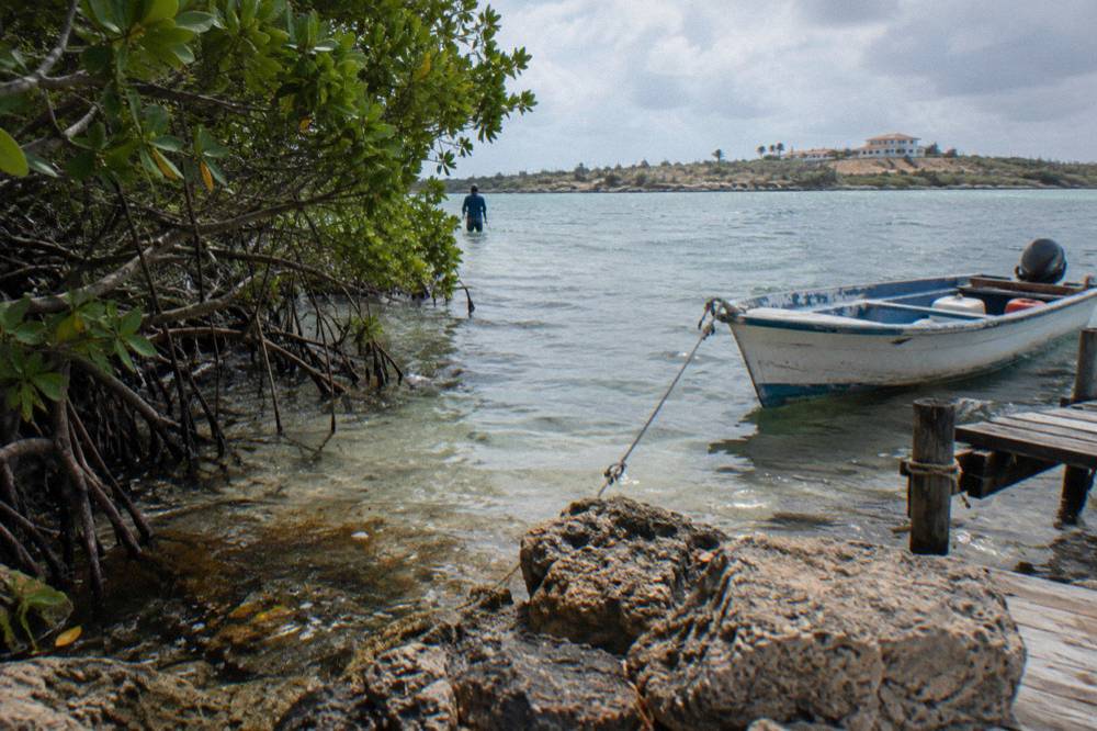 Rocky shoreline with calm clear water and mangroves along a quiet southern Aruba beach