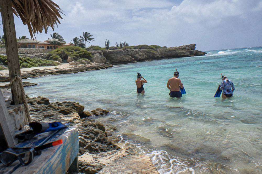 Snorkelers standing in shallow water near shore wearing masks and fins