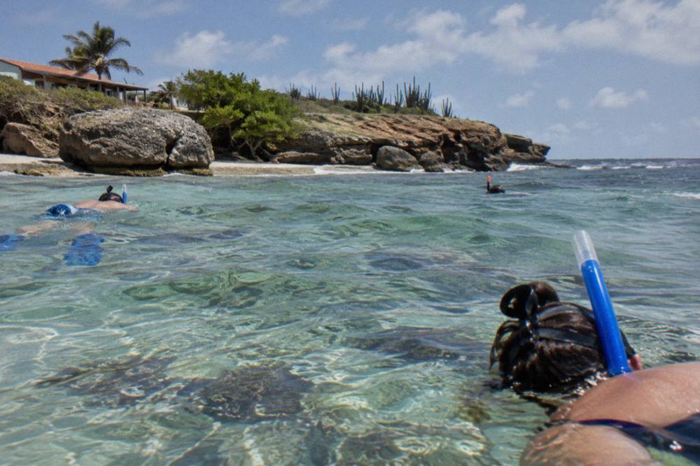 Snorkelers in clear water above a shallow reef