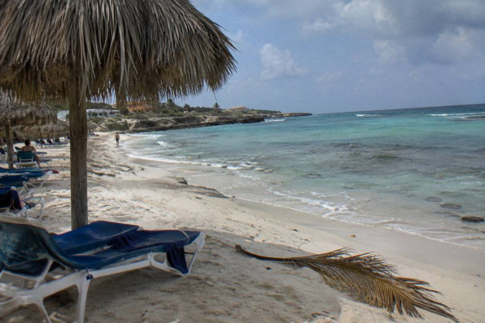 A palm-fringed beach with calm shallow water over a nearshore reef