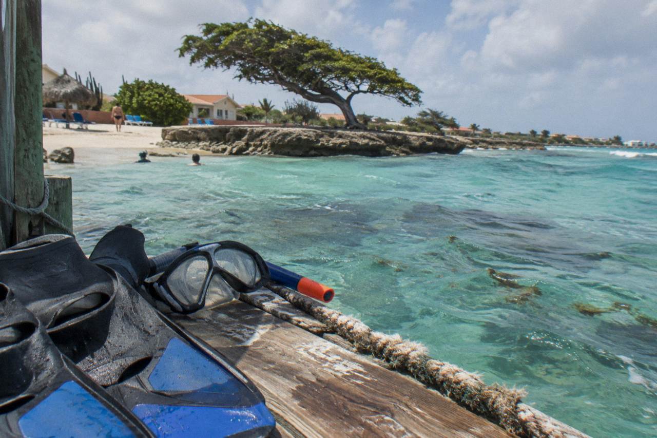 Snorkel mask and fins resting on a wooden dock beside calm turquoise water