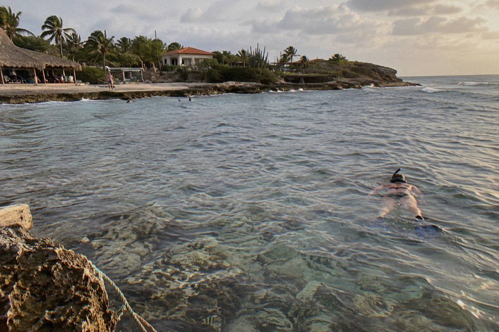 A snorkeler floating over a shallow reef in calm clear water near shore