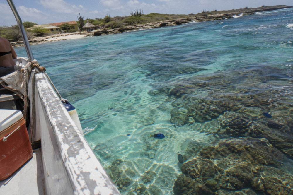 Clear shallow water over a coral reef with sunlight on the surface