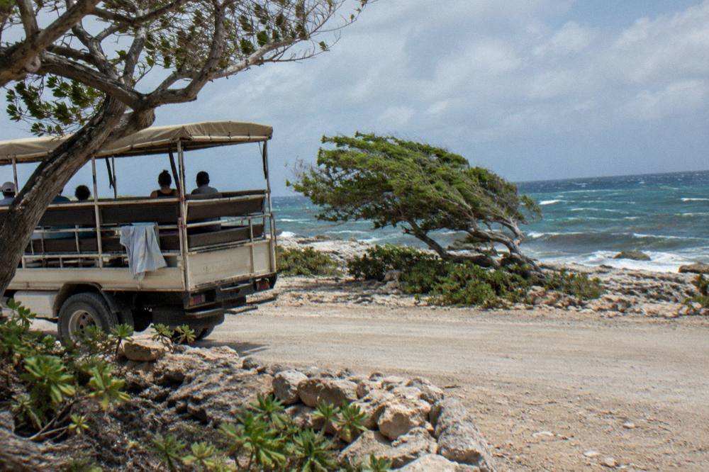 An open air bus on a coastal road heading toward calm beaches in Aruba